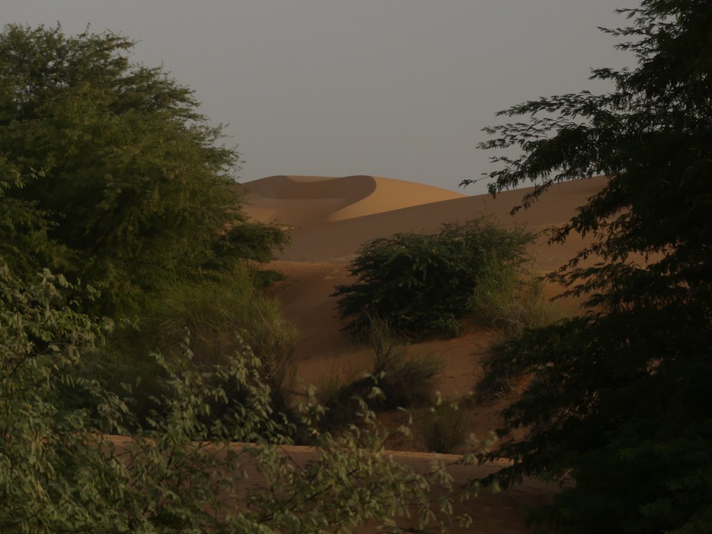 Das Ende der&nbsp;Wüste