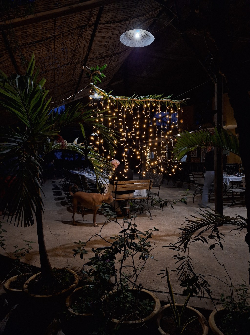 Weihnachten in Saint-Louis