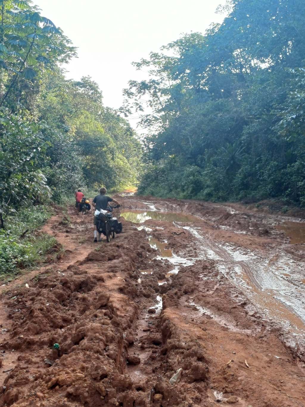 Das Ende des&nbsp;Dschungels